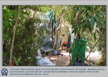 Εξαρθρώθηκε εγκληματική ομάδα τα μέλη της οποίας δραστηριοποιούνταν στην καλλιέργεια -397- δενδρυλλίων κάνναβης