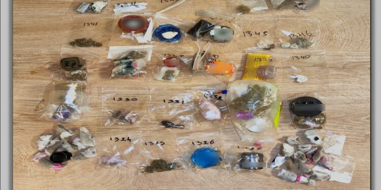 Καστοριά: 30 συλλήψεις με κάθε είδους ναρκωτικά!!