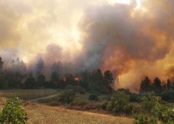 πυρκαγιά, φωτια