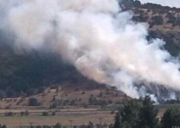 Κοζάνη: Δίωξη σε βαθμό κακουργήματος για εμπρησμό στον 48χρονο για τη φωτιά σε δασική έκταση στη Νέα Νικόπολη