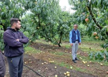 Στο Βελβεντό ο Περιφερειάρχης Δ. Μακεδονίας Γ. Κασαπίδης – Στήριξη  στους παραγωγούς των οποίων οι καλλιέργειες επλήγησαν από την κακοκαιρία