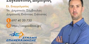 Δημήτρης Ζαγκουντίνος: Γιατί είπα ΝΑΙ στην πρόταση του Δημάρχου Χρήστου Ζευκλή
