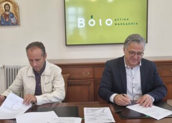 Δήμος Βοΐου: Κατασκευή πεζοδρομίων σε οικισμούς του Δήμου Βοΐου και τσιμεντόστρωση στη Δάφνη, προϋπολογισμού 184.950,00 ευρώ