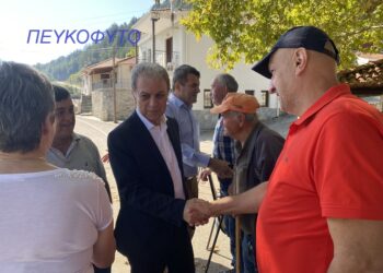 Ο Γιώργος Αμανατίδης και η ¨Συμμαχία για την Ανάπτυξη¨ σε Νεστόριο, Επταχώρι, Γραμμοχώρια. Οι προτεραιότητες και οι λύσεις