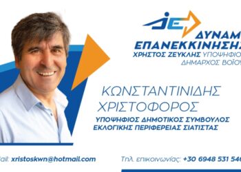 Χριστόφορος Κωνσταντινίδης: Σκέψεις για την εκπαίδευση του αύριο στο Βόιο
