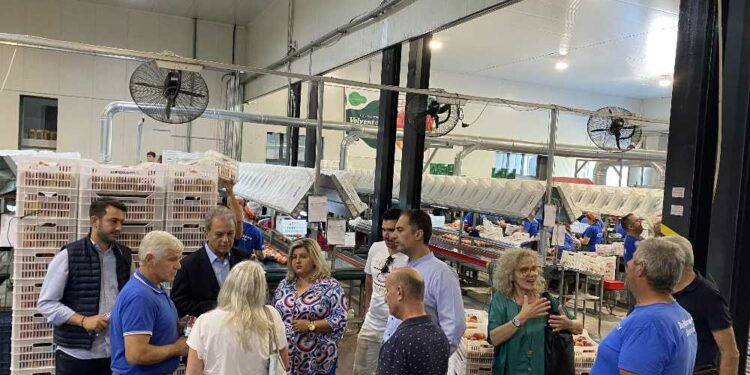 Γιώργος Αμανατίδης – Συμμαχία για την Ανάπτυξη: Στο Βελβεντό με τους εκπροσώπους των Συνεταιρισμών για την καταστροφή της παραγωγής