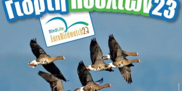 Ευρωπαϊκή Γιορτή Πουλιών