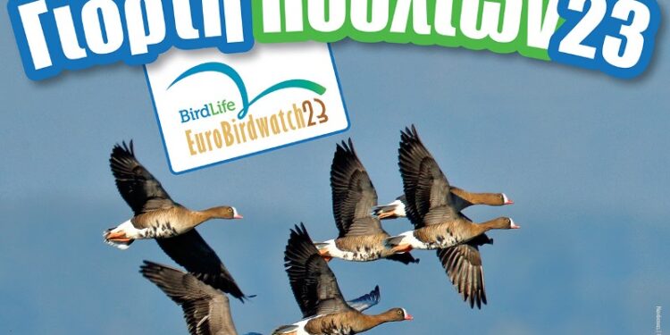 Ευρωπαϊκή Γιορτή Πουλιών