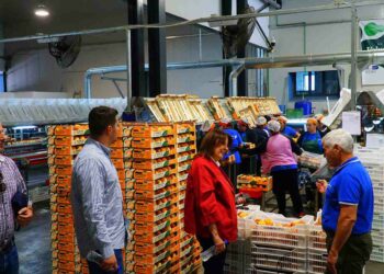 Η Γεωργία Ζεμπιλιάδου στο Βελβεντό, στο Πλανανόρευμα και στην Αιανή