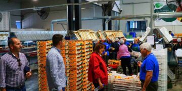 Η Γεωργία Ζεμπιλιάδου στο Βελβεντό, στο Πλανανόρευμα και στην Αιανή