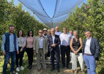 Γιώργος Αμανατίδης “Συμμαχία για την Ανάπτυξη” από την Καστοριά «Επιτάχυνση και αποτέλεσμα χωρίς διαχωρισμούς στις αναπτυξιακές μας πρωτοβουλίες»