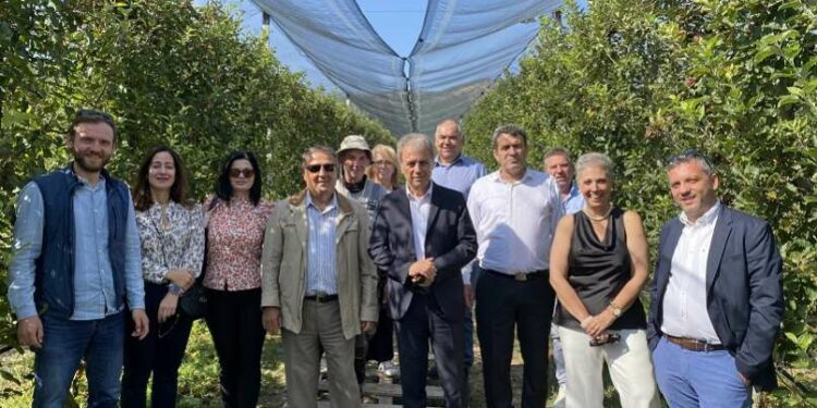 Γιώργος Αμανατίδης “Συμμαχία για την Ανάπτυξη” από την Καστοριά «Επιτάχυνση και αποτέλεσμα χωρίς διαχωρισμούς στις αναπτυξιακές μας πρωτοβουλίες»