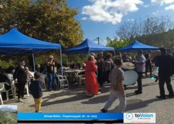 Η Γουρνοχαρά στο Δίλοφο Βοΐου.  Βίντεο