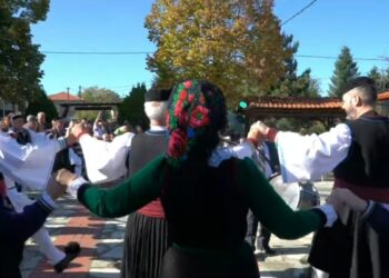 Με πλήθος κόσμου η Καστανογιορτή στη Δαμασκηνιά Βοΐου.  Βίντεο