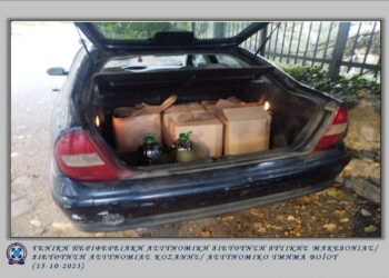 Κοζάνη: Δυο συλλήψεις για  διακίνηση αμφιβόλου ποιότητας ελαιόλαδου