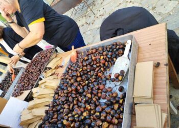 Βόιο: Εκατοντάδες επισκέπτες στο Καστανοπάζαρο του Πενταλόφου