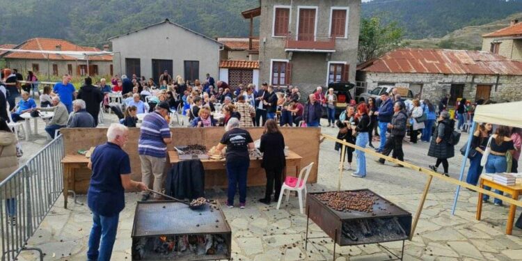 Βόιο: Εκατοντάδες επισκέπτες στο Καστανοπάζαρο του Πενταλόφου