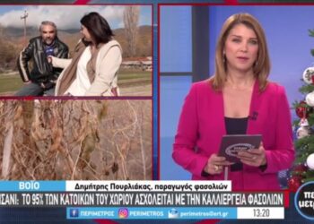 Βιολογικά φασόλια Σισανίου από νέους παραγωγούς. Ήρθα και παντρεύτηκα και δημιούργησα εδώ! Βίντεο