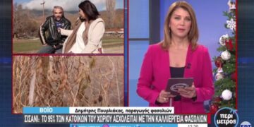 Βιολογικά φασόλια Σισανίου από νέους παραγωγούς. Ήρθα και παντρεύτηκα και δημιούργησα εδώ! Βίντεο