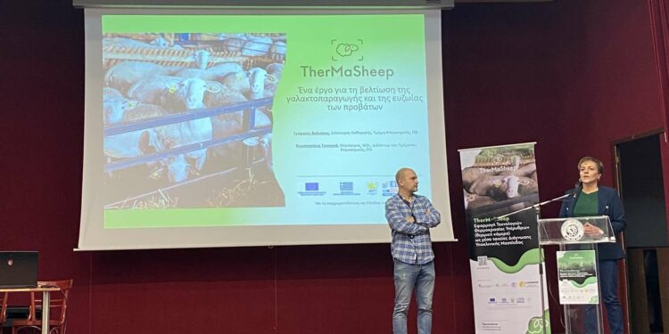 Έγινε η Παρουσίαση του Έργου “TherMaSheep: Εφαρμογή τεχνολογιών θερμογραφίας υπερύθρων (θερμική κάμερα) ως μέσο ταχείας διάγνωσης υποκλινικής μαστίτιδας