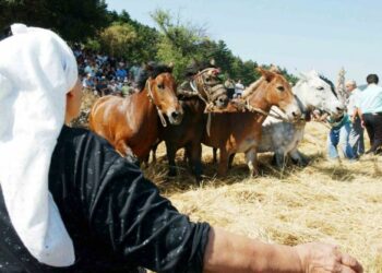 Πρόταση για πρόστιμο σε δημοτική επιχείρηση 10.000€ για κάθε άλογο που χρησιμοποιήθηκε σε αναπαράσταση εθίμου