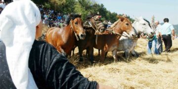Πρόταση για πρόστιμο σε δημοτική επιχείρηση 10.000€ για κάθε άλογο που χρησιμοποιήθηκε σε αναπαράσταση εθίμου