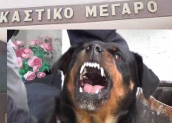 Η εξαγορά της ενοχής… της Ράνιας Στυλιάδου