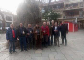 Σιάτιστα: Σήμερα τα Σούρουβα- Οι Αμπελουργοί έστησαν την κλαδαριά