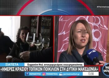 Αμπελο-οινικό Συνέδριο με τίτλο “Ημέρες Κρασιού Τοπικών Ποικιλιών στη Δυτική Μακεδονία” πραγματοποιήθηκε στη Σιάτιστα. Βίντεο