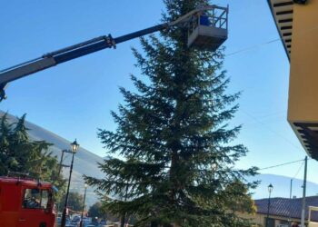 Σιάτιστα: Έφτασε το Χριστουγεννιάτικο δέντρο. Προετοιμασία για τη συναυλία με την Αναστασία