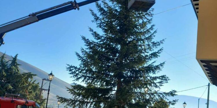 Σιάτιστα: Έφτασε το Χριστουγεννιάτικο δέντρο. Προετοιμασία για τη συναυλία με την Αναστασία