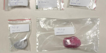 Κοζάνη: Είχαν από όλα τα ναρκωτικά!!! Δύο συλλήψεις