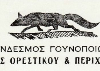 Αποτελέσματα Εκλογών Συνδέσμου Γουνοποιών Άργους Ορεστικού και Περιχώρων