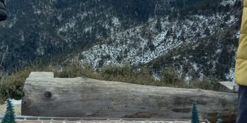 Ορειβατικός