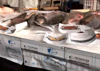 Κοζάνη: Με λογότυπο και εταιρική ταυτότητα τα αλιεύματα της λίμνης Πολυφύτου