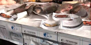 Κοζάνη: Με λογότυπο και εταιρική ταυτότητα τα αλιεύματα της λίμνης Πολυφύτου