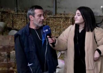 Κοζάνη: Τα προβλήματα των κτηνοτρόφων. Βίντεο
