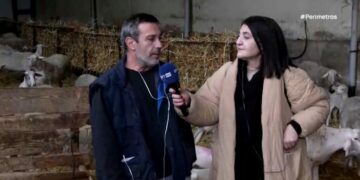 Κοζάνη: Τα προβλήματα των κτηνοτρόφων. Βίντεο