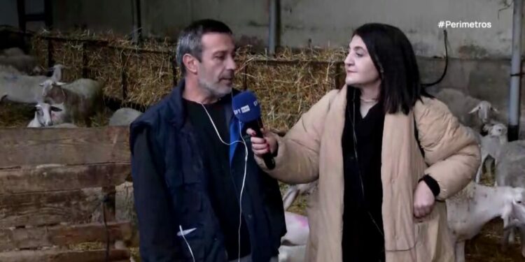 Κοζάνη: Τα προβλήματα των κτηνοτρόφων. Βίντεο