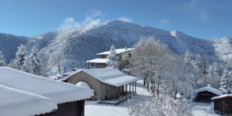 Ο Ορειβατικός Σύλλογος Σιάτιστας κόβει την Βασιλόπιτα