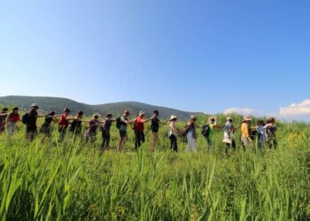 Τμήμα Εικαστικών και Εφαρμοσμένων Τεχνών | ΠΕΡΙΠΑΤΙΚΕΣ ΤΕΧΝΕΣ ΚΑΙ ΤΟΠΙΚΕΣ ΚΟΙΝOTHTES (WALC) | Εναρκτήρια δράση, την Τρίτη 27 Φεβρουαρίου 2024.