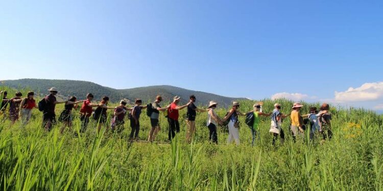 Τμήμα Εικαστικών και Εφαρμοσμένων Τεχνών | ΠΕΡΙΠΑΤΙΚΕΣ ΤΕΧΝΕΣ ΚΑΙ ΤΟΠΙΚΕΣ ΚΟΙΝOTHTES (WALC) | Εναρκτήρια δράση, την Τρίτη 27 Φεβρουαρίου 2024.