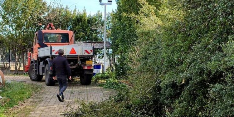 Διάνοιξη αγροτικών δρόμων και εργασίες καθαρισμού από τον Δήμο Κοζάνης