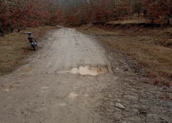 Ο Αντιπεριφερειάρχης Χάρης Γκοβεδάρος για το δρόμο Χρυσαυγής – Τρίκορφου