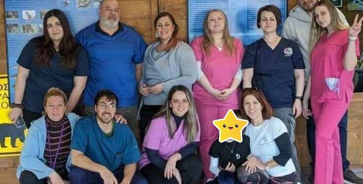 Καστοριά: Πραγματοποιήθηκε η δράση στείρωσης των αδέσποτων ζώων συντροφιάς