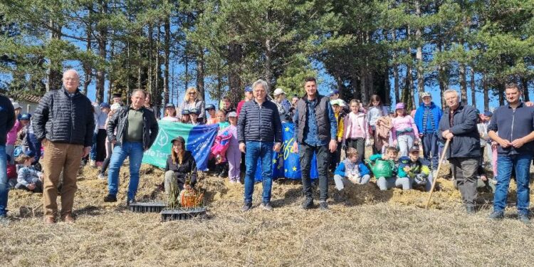 Δήμος Βοΐου: Ας προστατεύουμε το δάσος μας