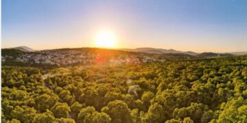 Δήμος Κοζάνης: Ανακοίνωση για ιδιοκτήτες κτισμάτων σε δασικές εκτάσεις και σε ζώνες περιαστικού πρασίνου