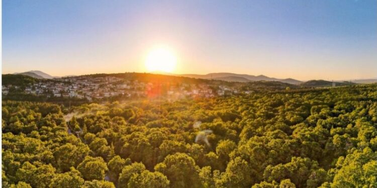 Δήμος Κοζάνης: Ανακοίνωση για ιδιοκτήτες κτισμάτων σε δασικές εκτάσεις και σε ζώνες περιαστικού πρασίνου
