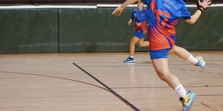 Δήμος Βοΐου: Τουρνουά Handball Παγκορασίδων Α΄ στο Τσοτύλι 29- 30- 31 Μαρτίου 2024