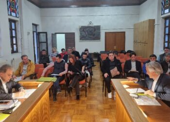 Βόιο: Συνάντηση Αμανατίδη με τη Δημοτική αρχή.  Βίντεο